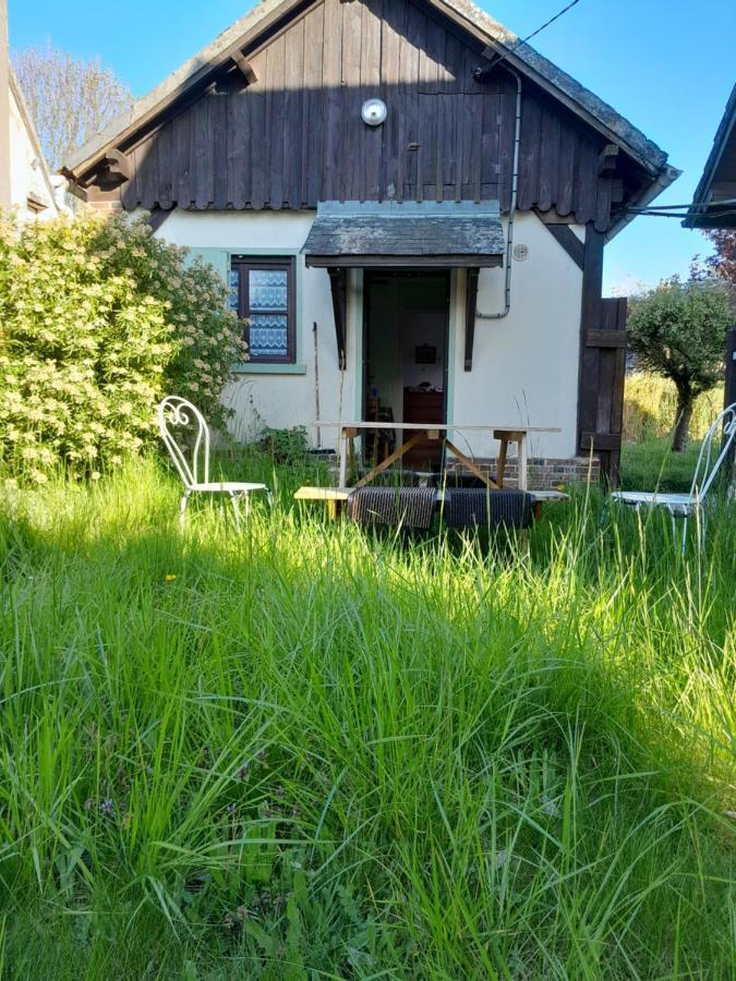 Chez Josie, Gite Independant, Jardin Prive, Calme, Parking Gratuit, Francheville  Buitenkant foto
